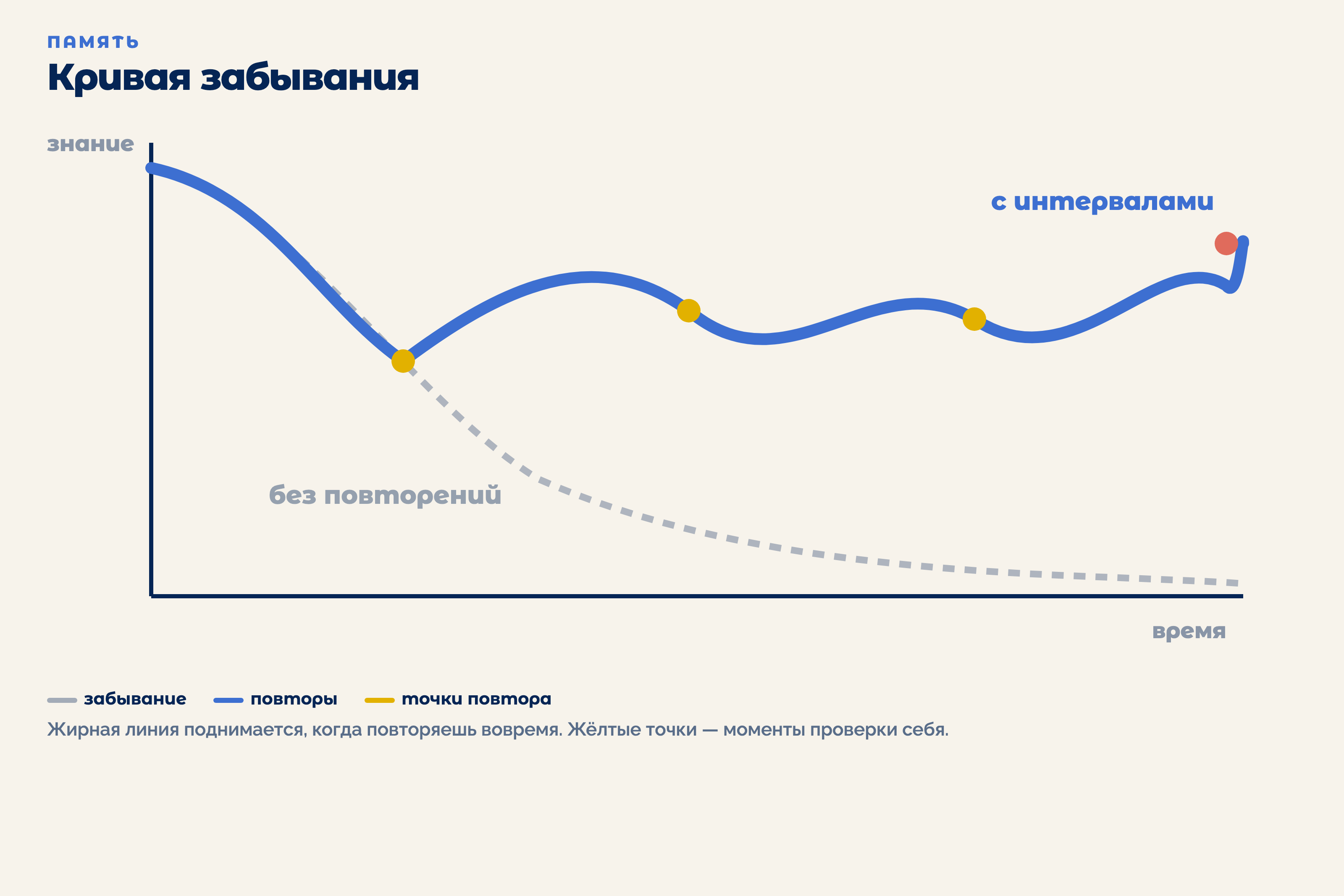Кривая забывания: без повторений знание быстро падает